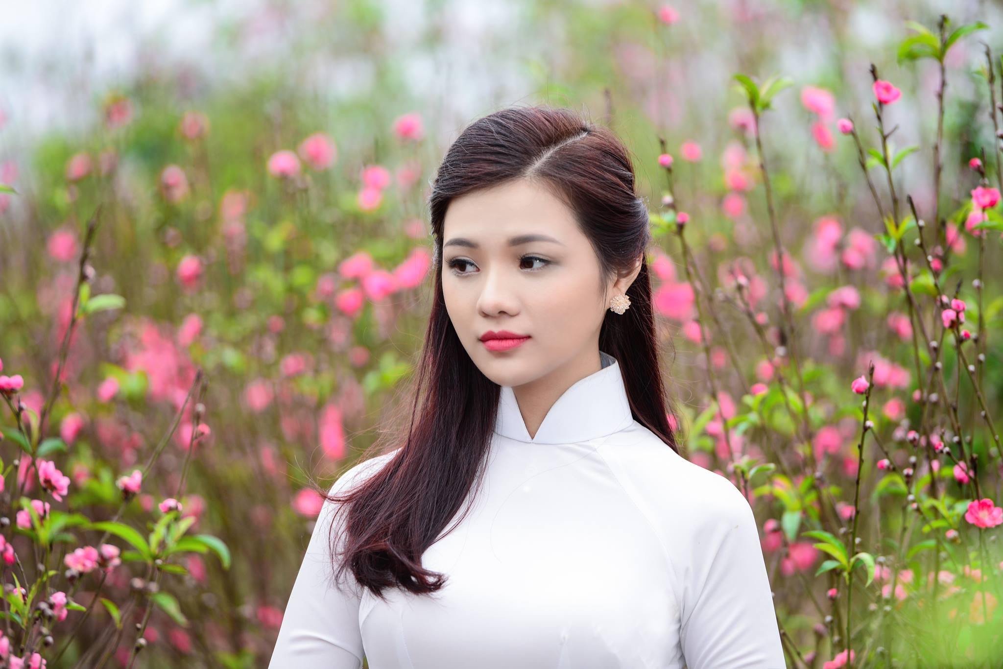Nội dung ảnh 239-1791634833337-a6544b30