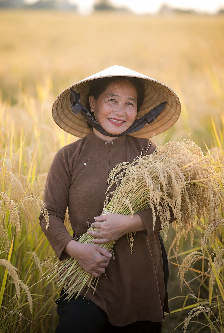 Nội dung ảnh img_0492-1778482292667