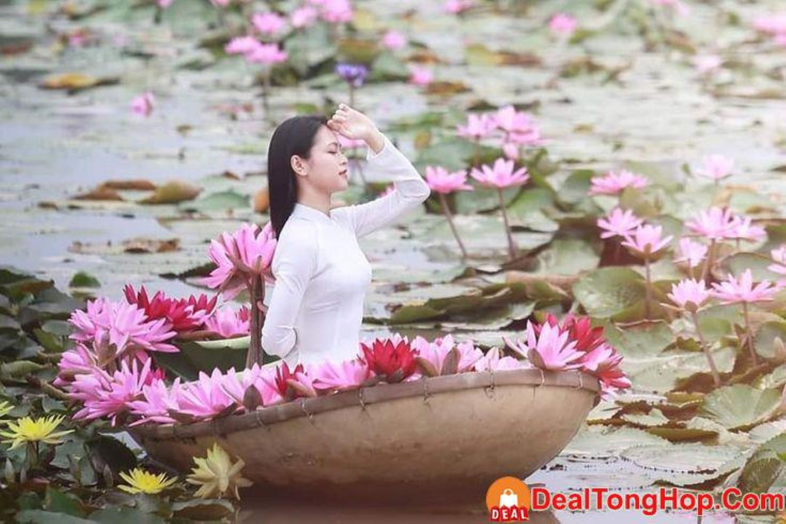 Nội dung ảnh pic-5-large-1791113593695